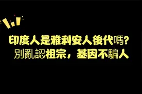印度人是雅利安人後代嗎？別亂認祖宗，基因不騙人视频封面