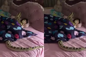女儿每晚抱“巨蛇”入睡，吓得妈妈要去客厅睡：小偷都要被吓跑视频封面