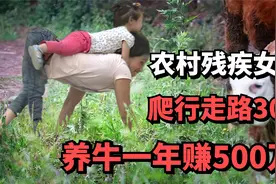 农村残疾女孩双手爬行30年，身残志坚养殖肉牛，如今年赚500万！视频封面