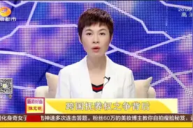 《纪录片》：跨国寻女，马来西亚爸爸和湖南外婆的抚养困局视频封面