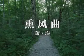 江南丝竹八大名曲之《熏风曲》表现江南气韵、水乡风情的典型作品视频封面