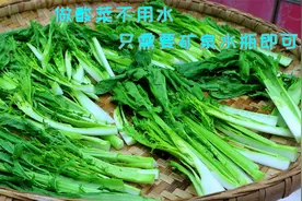 做酸菜没想的那么复杂，装进矿泉水瓶几天就做好，很多人还没见过