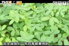 我爱返寻味：放石灰可以让花生防虫？一起来看看咋弄的
