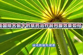 美国排名前十的草药治疗前列腺效果如何？视频封面