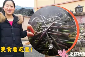 蕨菜掐回来非常重要的一步，有效去除致癌物质，晒干能卖50元一斤视频封面