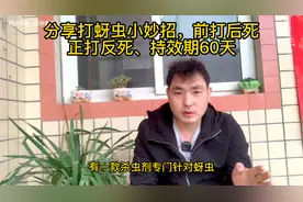 分享打蚜虫小妙招，前打后死正打反死、持效期60天视频封面