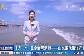 非凡十年！山东现代海洋产业加速崛起，一大批优秀企业做大做强视频封面