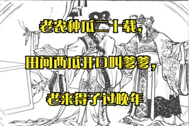 老农种瓜二十载，田间西瓜开口叫爹爹，老来得子过晚年视频封面