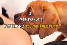 孕妇怀孕7个月，小狗对她狂吠不止，医院一句话让她后悔不已视频封面