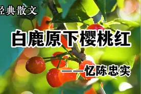 经典散文 《白鹿原下樱桃红—忆陈忠实》 作者 刘兆林视频封面