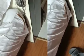 吓尿！大学生入住酒店听到奇怪响动，随后在床头发现一只巨型蜈蚣视频封面