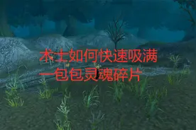 魔兽世界怀旧服术士如何快速吸满一包包灵魂碎片视频封面