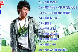 欢子10首经典歌曲：《心痛2009》《得到你的人却得不到你的心》等