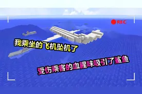 MC我的世界：乘坐的飞机坠机了，血腥味还引来了鲨鱼