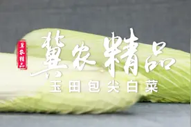 冀农精品——玉田包尖白菜视频封面