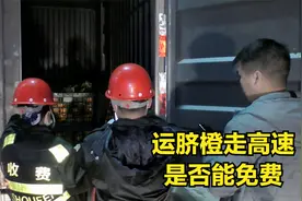 老简拖着几千斤新鲜脐橙走高速，想不出过路费，看能否如愿