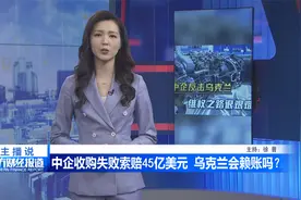 中企收购失败索赔45亿美元 乌克兰会赖账吗？视频封面