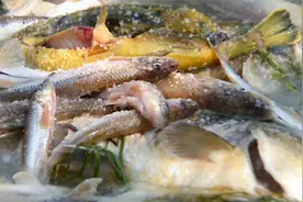 原味记忆：渔民一大早捕鱼，做一道炖江鱼美食，鱼肉鲜美视频封面