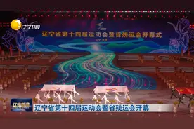 辽宁省第十四届运动会暨省残运会开幕视频封面