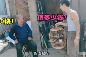 80岁爷爷养鸽60多年，孙子抓到一只赶紧送回村，看看爷爷怎么说视频封面