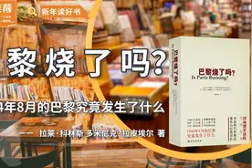 《巴黎烧了吗？》二战纪实文学丰碑之作，1944年巴黎解放详解视频封面