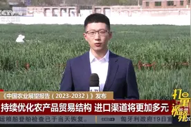 粮食进口持续优化国内农产品贸易结构，进口渠道将更加多元视频封面