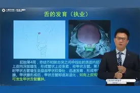 口腔执业/助理:舌的发育（执业）考点精讲#七颗牙学堂视频封面