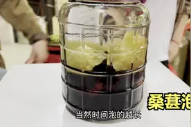 泡桑葚酒的正确比例是多少呢？很多人纠结这个问题，答案在这里视频封面