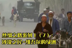 [NHK纪录片]丝绸之路系列Ⅰ（7）：沙漠之民~维吾尔的绿洲视频封面