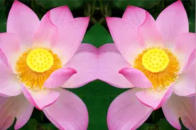 教你拍左右分身照片，不用后期处理，一部手机就搞定，帅酷朋友圈视频封面