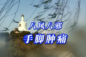 手脚被蚊虫狗蛇致肿，可从8风8邪下针，效果一夜视频封面