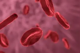 高中生物：细胞膜的探索历程——医学之花