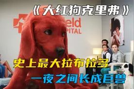 史上最大拉布拉多  站起来比牛高 堪称狗界之王《大红狗克里弗》