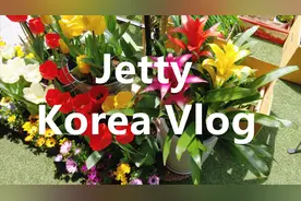 【Jetty韩国vlog】韩式脊骨汤/牛蹄筋汤/米肠汤视频封面