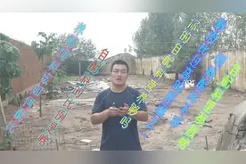 养鹅中饲料的配比，精细化的操作让你事半功倍，那么如何操作