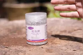 养花长虫子了不要紧，园艺师教你用吡虫啉，一次性解决园艺虫害视频封面