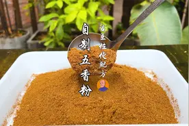 自制传统五香粉，君臣佐使用量精准配比，味道好还放心视频封面