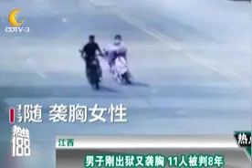 江西：男子刚出狱又袭胸11人被判8年视频封面