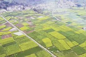 一亩地是666.6平方米，这个奇怪的数据是怎么得出来的？