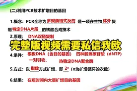 高中生物选修三课堂——PCR扩增技术基础考点视频封面