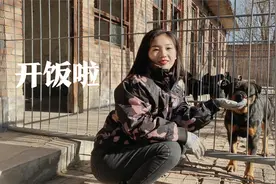 佳佳养狗的狗粮配方，按这个比例配出来，狗狗长得漂亮又精神