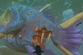 变异食人鱼的屁股被咬掉了，便宜了我这条初来乍到的小鱼，升级！视频封面