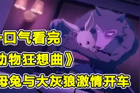 清纯大灰狼竟爱上海王小白兔！一口气看完《动物狂想曲》！视频封面