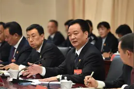 王君正参加山南代表团讨论视频封面