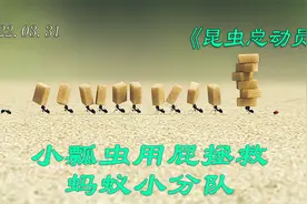蚁后吃到方糖后幸福的产下无数颗蚁卵视频封面