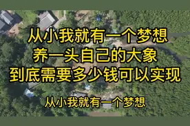 从小我就有一个梦想，就是养一头自己的大象，到底需要多少钱视频封面