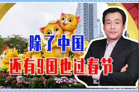 除了中国，还有9国也过春节，越南不迎兔年迎猫年、澳出生肖邮票视频封面