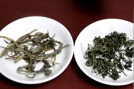 咽炎的“死对头”来了，教你1款茶饮，清热清咽，凉血消肿！视频封面