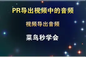 PR如何导出视频中的音频，菜鸟学会只需2分钟，教程通俗易懂视频封面