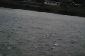 四川网友拍下奇怪现象：空中出现“不明飞鸟”，鱼群反复跳出水面视频封面